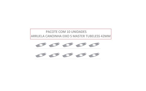 PACOTE C/ 10 UN - ARRUELA CANOINHA EIXO S MASTER TUBELESS 42MM - CÓDS: 1270200185 / 1229D4138 / 251000014-P / AE010